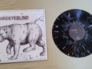 Third Eye Blind 