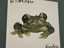 Silverchair ‎– Frogstomp 12