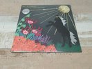 BIG BUSINESS COMMAND YOUR WEATHER  LIMITED EDITION COLURED VINYL Melvins  Unsane