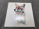 Starfox SNES Vinyl Record VGM Soundtrack 2xLP Color - Not Moonshake