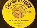 Rare Bay Area Surf Garage 45 The Unknowns Object of My Affection EX HEAR