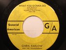 Hear  Rock Blues 45 Chris Farlow - What You Gonna Do / Just A Dream On Ga
