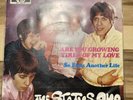 Status Quo – Are You Growing Tired Of My Love - Germany 1969 - 7“ Vinyl Single