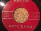 HEAR- WILD GAL ROCKER - BRENDA HOLLY w/DARWIN NELSON -CRAZY LITTLE HEART- EUNICE