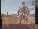 Pink Floyd Delicate Sound of Thunder Vinyl Live Russian Gilmour Waters 2 LP
