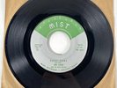 Lee Cole And The Beau Jesters Cool Baby / Suzy Ann 45 RPM Mist 1010 Green Label