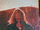 TY SEGALL MANIPULATOR First pressing 2xLP Red Vinyl DC600 Drag City Mint Cond.