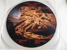 The Jesus Lizard / Goat  / Rare Vinyl Picture Disc