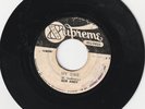 REGGAE 45 SUPREME LABEL BOB ANDY / ROY RICHARDS 