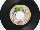 ROOTS REGGAE 45 HARRY J LABEL FUNKY BROWN 