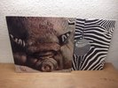 KIN PING MEH No.2 LP 1972 GERMAN ZEBRA 1st Press + INNER MINT- KRAUTROCK