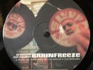 DJ SHADOW CUT CHEMIST BRAINFREEZE LP V-SD 1001 RARE BREAKS