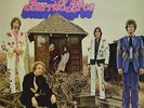 The Flying Burrito Brothers Gilded Palace Of Sin (Vinyl) (US IMPORT)