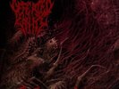 DEFEATED SANITY - SANGUINARY IMPETUS NEW VINYL