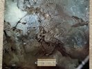 COCTEAU TWINS HEAD OVER HEELS Vinyl LP RECORD 1983 UK Album CAD 313 NM