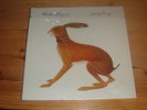 vashti bunyan vinyl LP Lookaftering