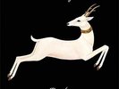 Vashti Bunyan - Heartleap  [VINYL]