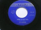 THE RAMRODS 'BRIGHT LIT BLUE SKIES' 1966 7