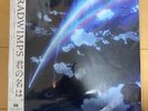 RADWIMPS Kimi No Na Wa Your Name LP Records 12 Inch Analog Limited Edition