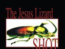 THE JESUS LIZARD SHOT NEW SEALED LTD COLOURED VINYL LP IN STOCK