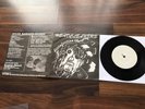 HEADCLEANERS - Disinfection 7” EP Anti-Cimex, Absurd, Misbrukarna KBD original