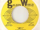 BARBARA MERCER Hey   GOLDEN WORLD DETROIT  NORTHERN SOUL USA 45