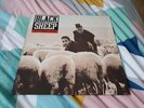 Black Sheep - A Wolf in Sheeps Clothing  Vinyl