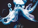 DRS - From The Deep - New Vinyl Record - Z1362A