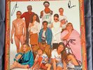 SIGNED How to Be a Human Being - Glass Animals Vinyl LP record