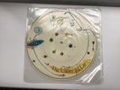 The Cure - Caterpillar picture disc