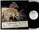 Peter Green - The End Of The Game LP - Reprise VG++ PROMO