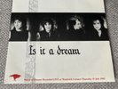 ‘Rare’ The Damned- Is it a Dream. Misprint. 7 inch Vinyl