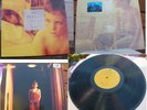 The Afghan Whigs ‎– Gentlemen VINYL LP Europe 1st PRESS