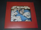 Kid Dakota Listen To The Crows As They Take Flight Colored Vinyl With Inserts