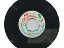 THE HAMLINS - I DON'T CARE AT ALL / NEWS CARRIER [ MATADOR ] 7