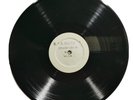 DUB SPECIALIST - ITAL SOUNDS & SYSTEMS [ BLANK PRE ] LP  / 12