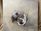 Kings of convenience   Peace or love    New sealed 