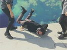 LOCAL NATIVES - Hummingbird - Vinyl - **BRAND NEW/STILL SEALED**