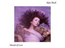 Kate Bush Hounds of Love  (Vinyl)  12