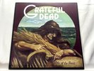 Grateful Dead Wake Of The Flood 1973 LP, GD 01 Play tested Vinyl GD Records VG+