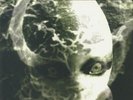 MANSON, Marilyn & THE SPOOKY KIDS - Birth Of The Anti Christ - Vinyl (LP)