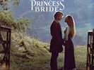 Mark Knopfler - Storybook Love Theme From The Princess Bride - Used - X6035A