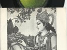 RADHA KRISHNA TEMPLE  APPLE   BEATLES  SOUTH AFRICA  PS   45   GOVINDA