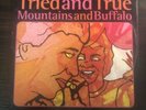 Ween Tried And True/Mountains And Buffalo 7” Single 2003 Sanctuary