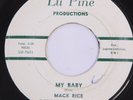 Mack Rice 45 rpm My Baby & Baby I'm Coming Home 1964 Soul Lu Pine Record