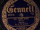 Whistler & His Jug Band GENNETT 5614 V 