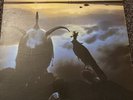 Roxy Music Avalon Original Pressing Nm- Vinyl