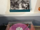 The Neighbourhood: I Love You RARE Pink Double Vinyl LP
