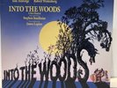 Into The Woods   Original Cast Recording LP with Libretto-Booklet Vinyl VG+