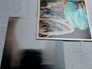 Cub  & Wolf   2Vinyl/2LP's